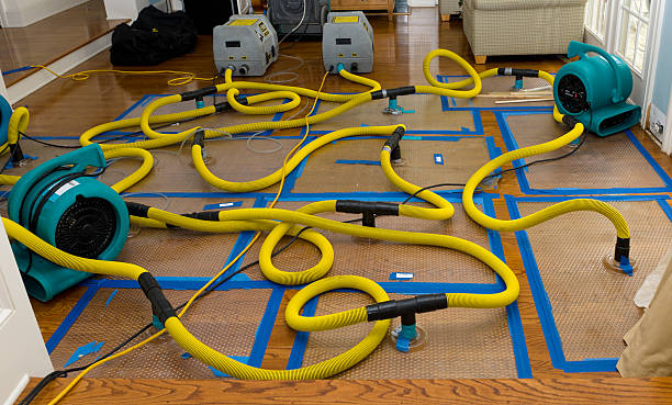 Professional Burst Pipe Water Damage technician working in Hammett, ID